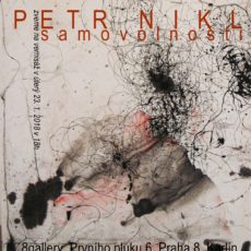Petr Nikl pozvánka